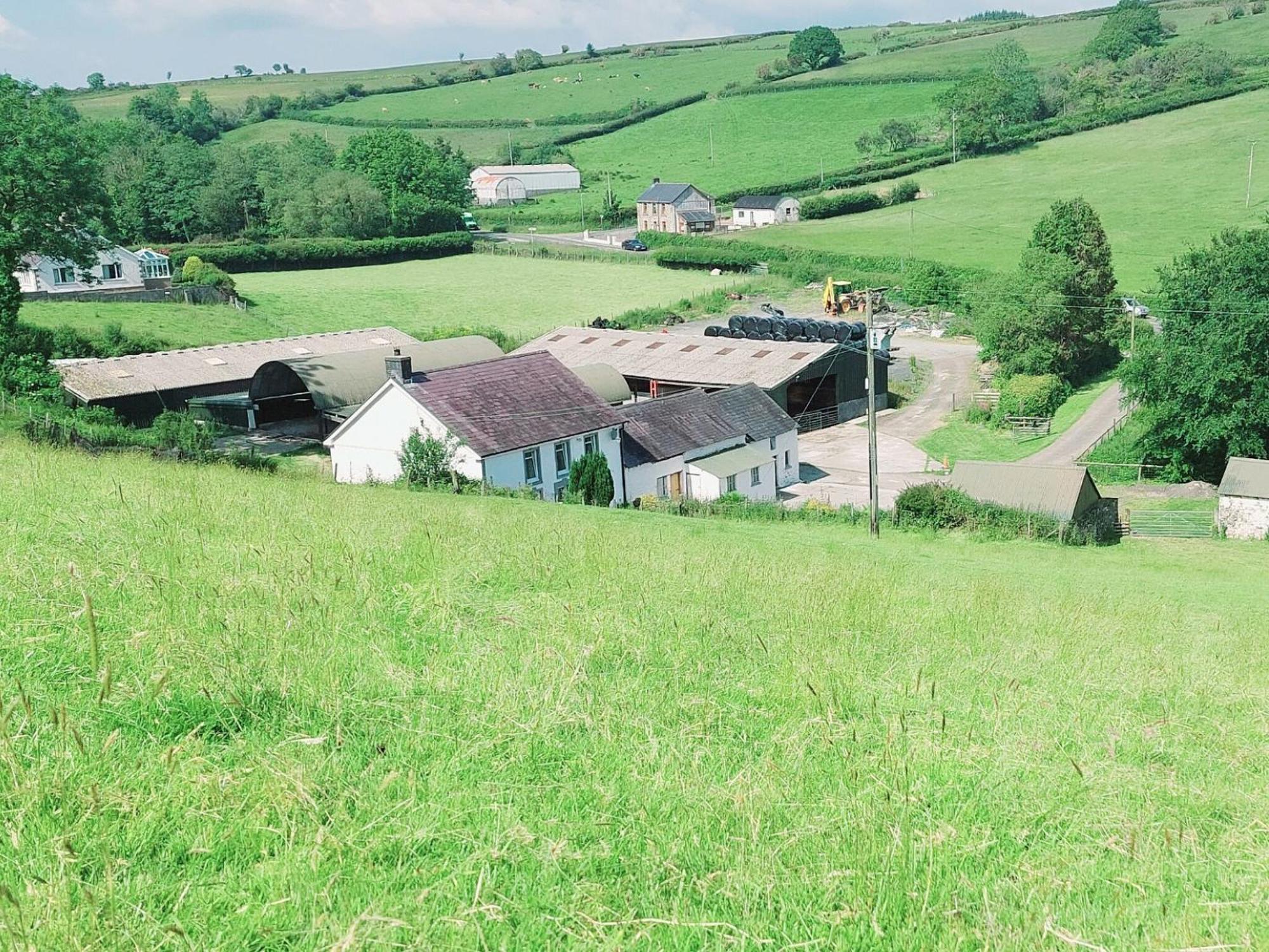 Typicca Farmhouse Brechfa Extérieur photo